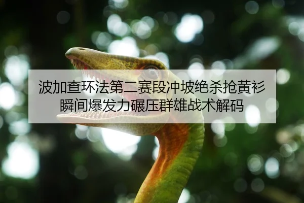 bo-jia-cha-huan-fa-di-er-sai-duan-chong-po-jue-sha-qiang-huang-shan-shun-jian-bao-fa-li-nian-ya-qun-xiong-zhan-shu-jie-1-664.jpg